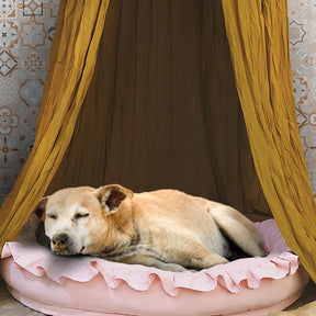 Tenda para cães elegante e macia e aconchegante