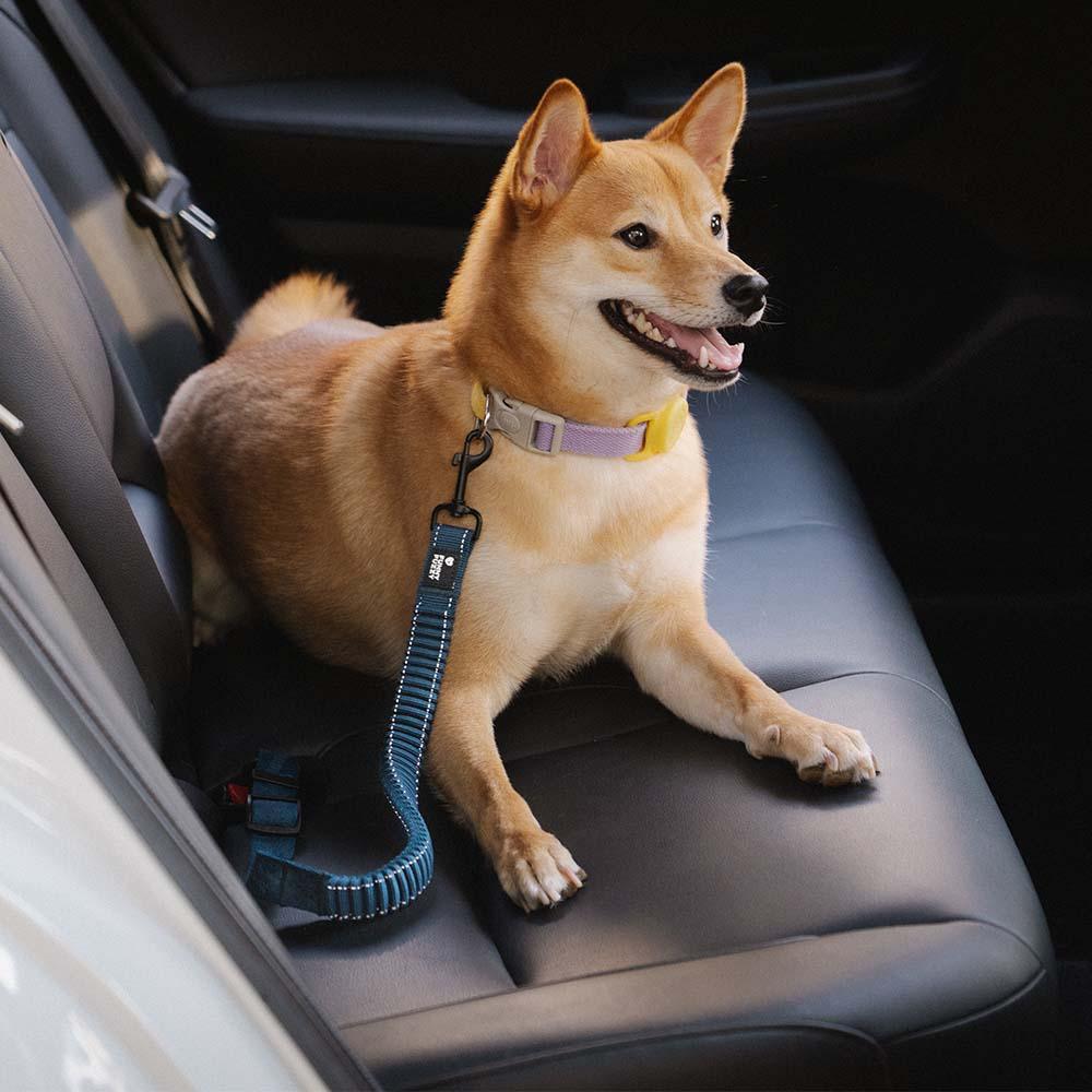 Cinto de segurança de carro com amortecedor ajustável para cães legais