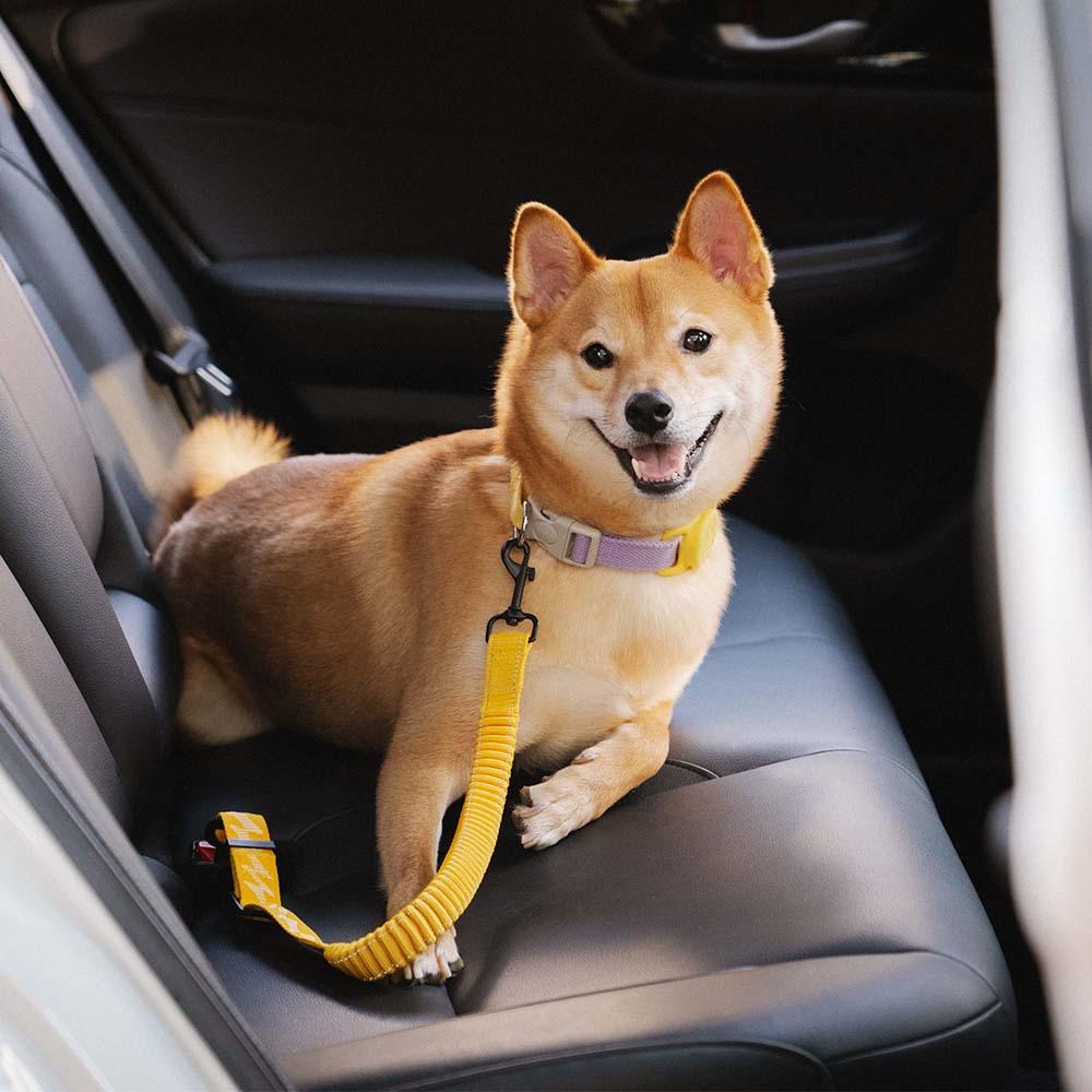 Cinto de segurança de carro com amortecedor ajustável para cães legais