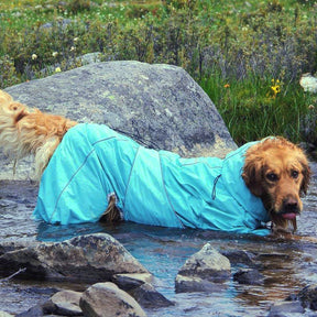 Jaqueta grande para cachorro ao ar livre Capa de chuva ajustável à prova d'água para cachorro