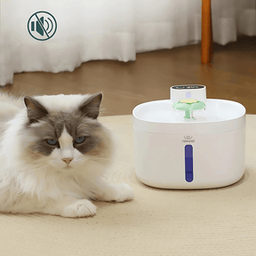 Fonte de Água para Cães e Gatos + Brinde Exclusivo