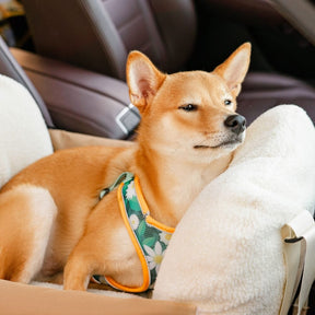 Protetor de filhote de cachorro de segurança de viagem grande cama de assento de carro para cachorro