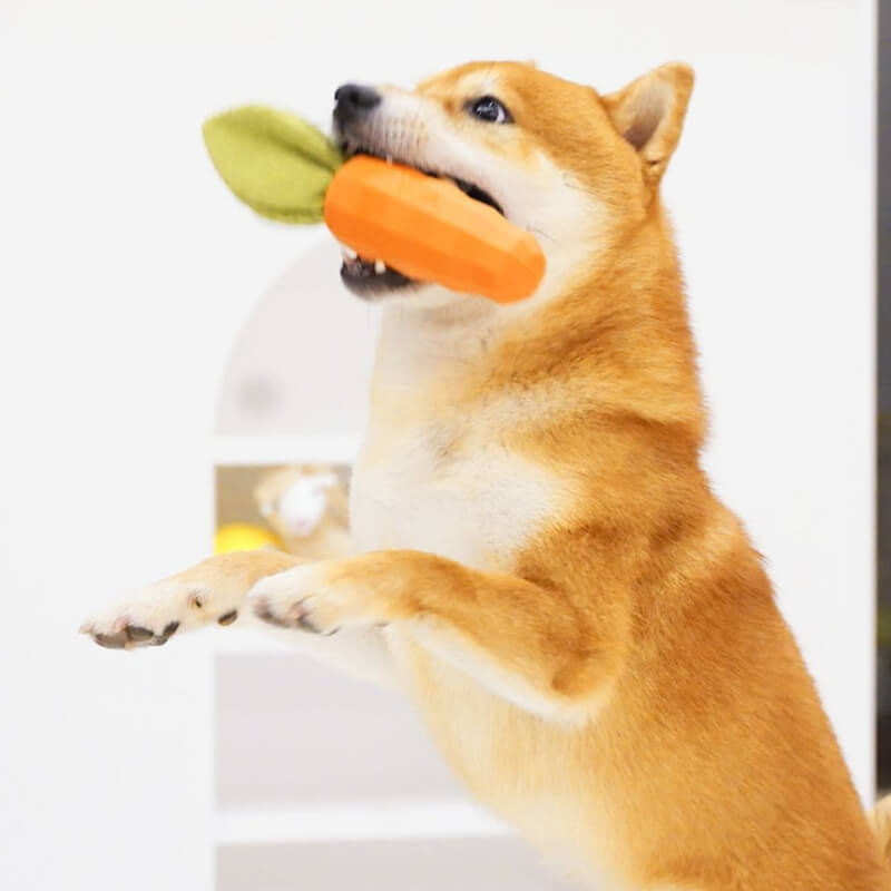 Brinquedo durável para mastigar cachorro com cenoura estridente