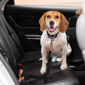 Cinto de segurança de carro de acessórios para cachorro legal ajustável com amortecedor colorido