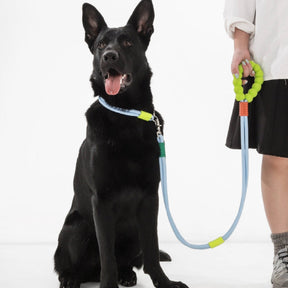 Trela de caminhada para cães trançada de seção dupla de algodão doce