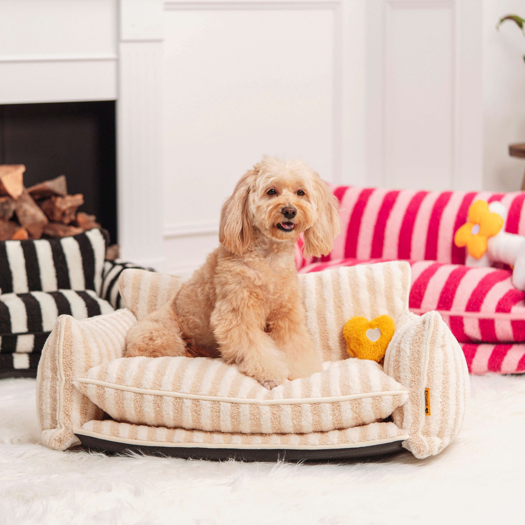 Brinquedo de pelúcia para cachorro com coração estridente