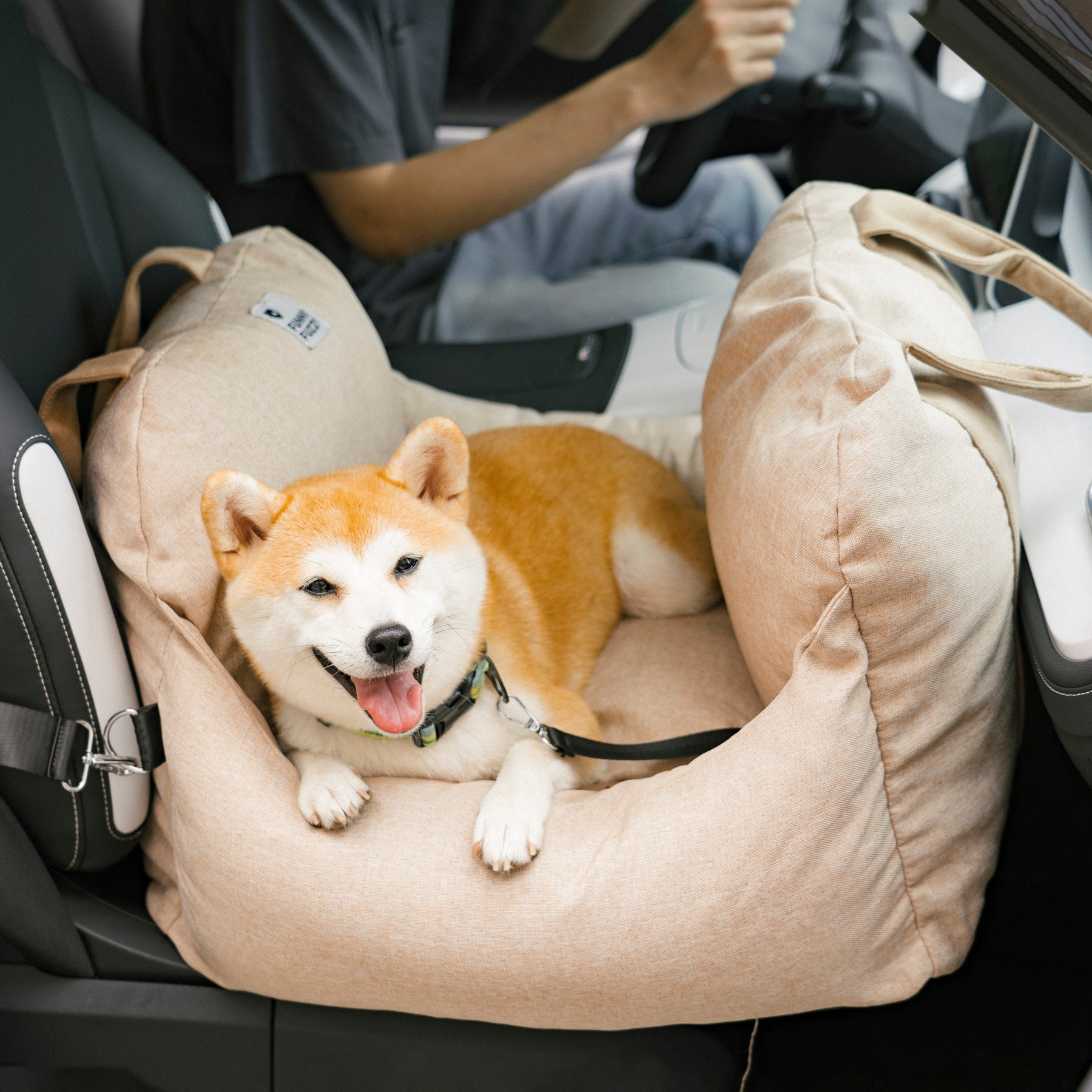 Cama de assento de carro para cachorro e cachorrinho de segurança para viagens - Primeira classe