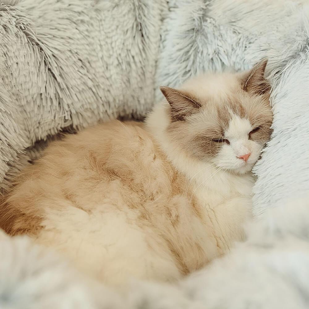 Cama túnel redonda macia dobrável 2 em 1 para gatos