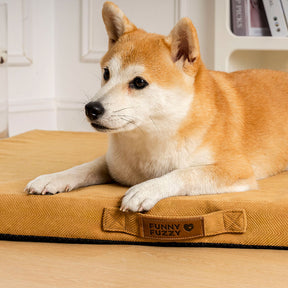 Cama de suporte de espuma ortopédica portátil para cães