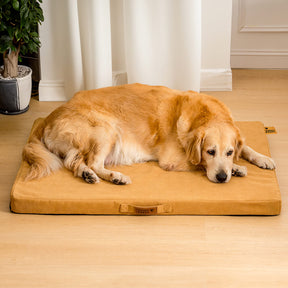 Cama de suporte de espuma ortopédica portátil para cães