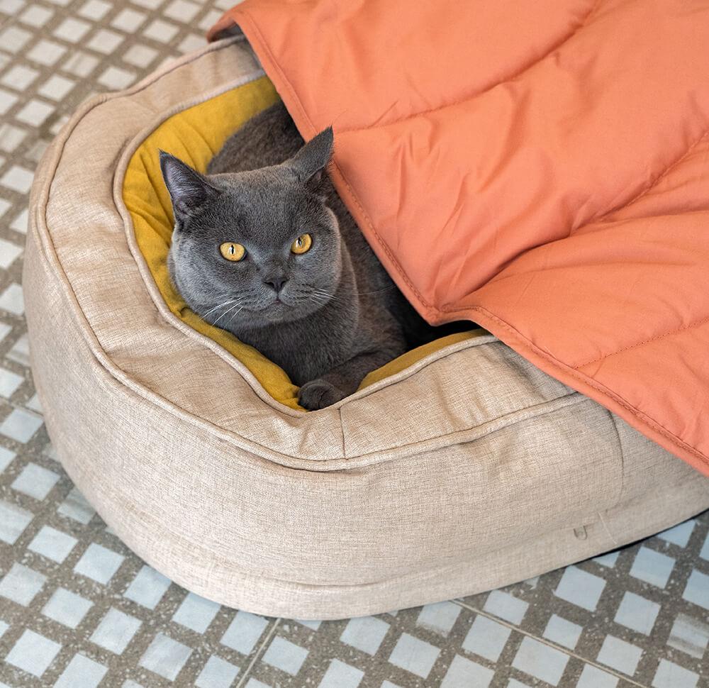 Cama ortopédica fofa para cachorro donut