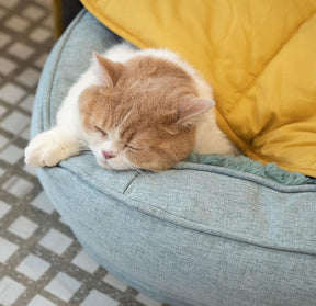 Cobertor para cachorro em formato de folha