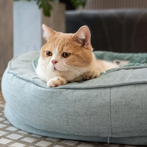 Cama ortopédica fofa para cachorro donut