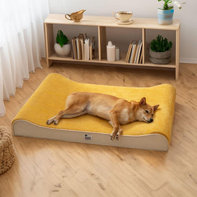 Luxuosa espreguiçadeira para cães nobreza cama ortopédica para cães