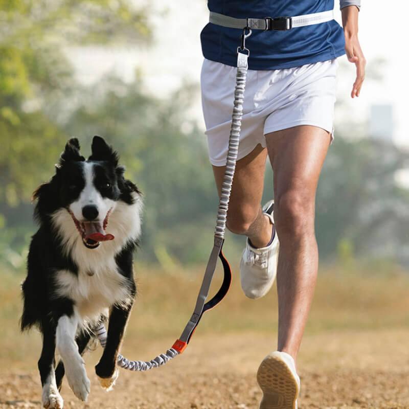 Trela retrátil multifuncional de alça dupla para passear com cães