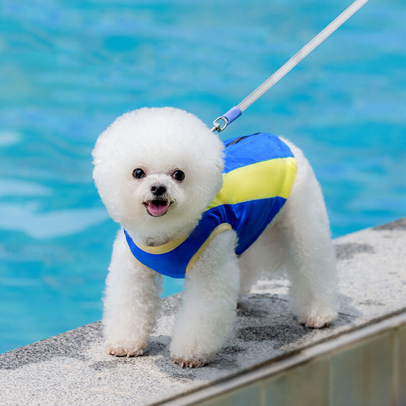 Roupas de proteção solar para animais de estimação, esportes ao ar livre, acessórios legais para cães, colete de resfriamento