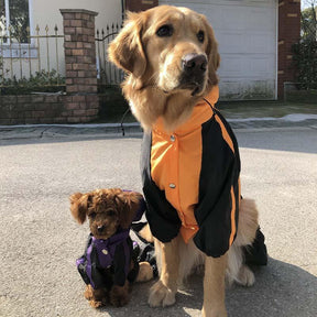 Capa de chuva impermeável para cães em tecido Oxford com pernas e capuz