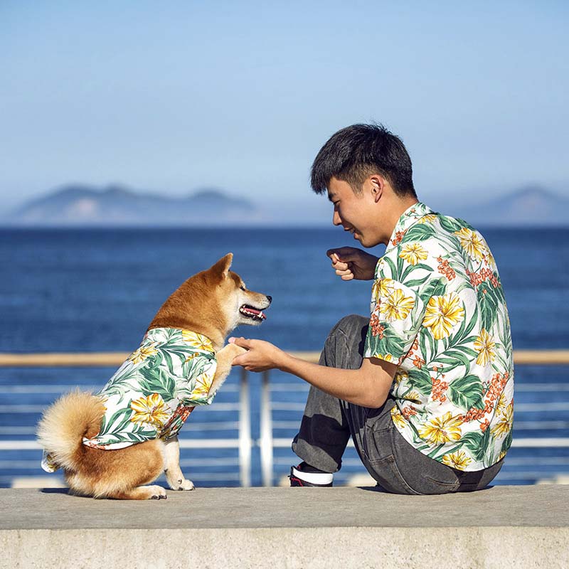 Camisa havaiana combinando para roupas de cachorro e proprietário