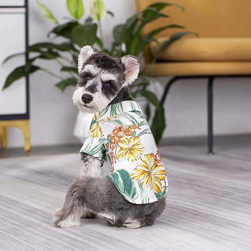 Camisa havaiana combinando para roupas de cachorro e proprietário