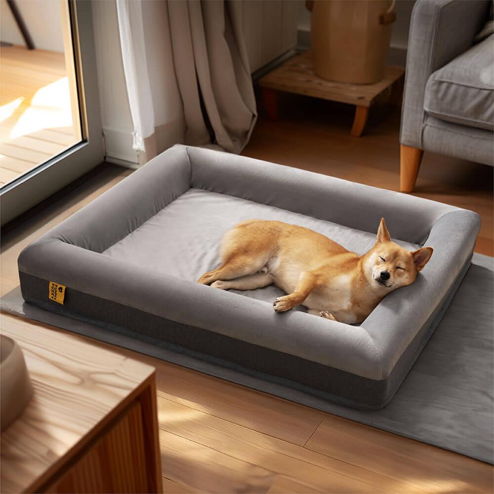 Sono feliz da cama ortopédica superior do cão com jogo alegre que escava a cama