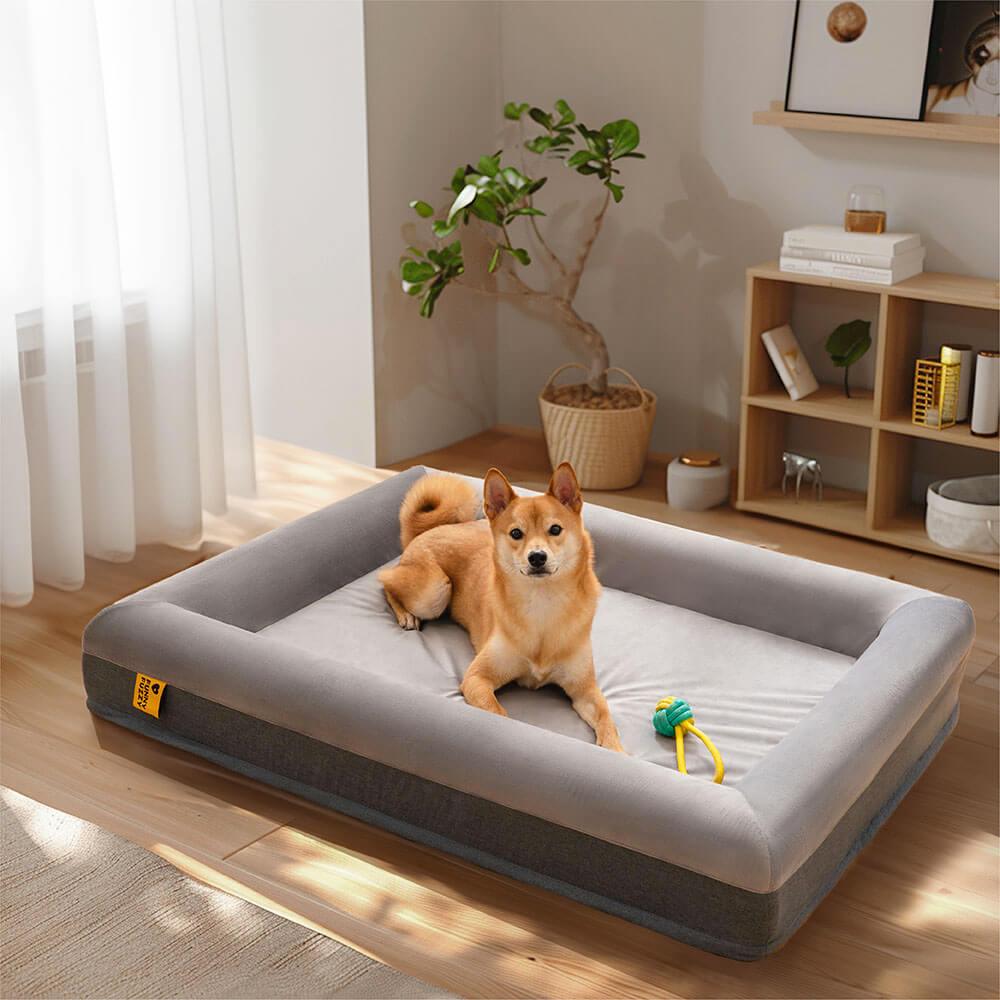 Sono feliz da cama ortopédica superior do cão com jogo alegre que escava a cama