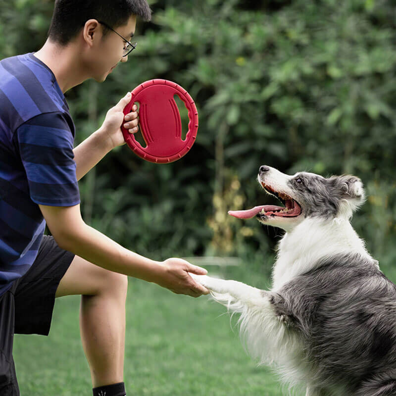 Disco voador interativo para cachorro, brinquedo de borracha para volante