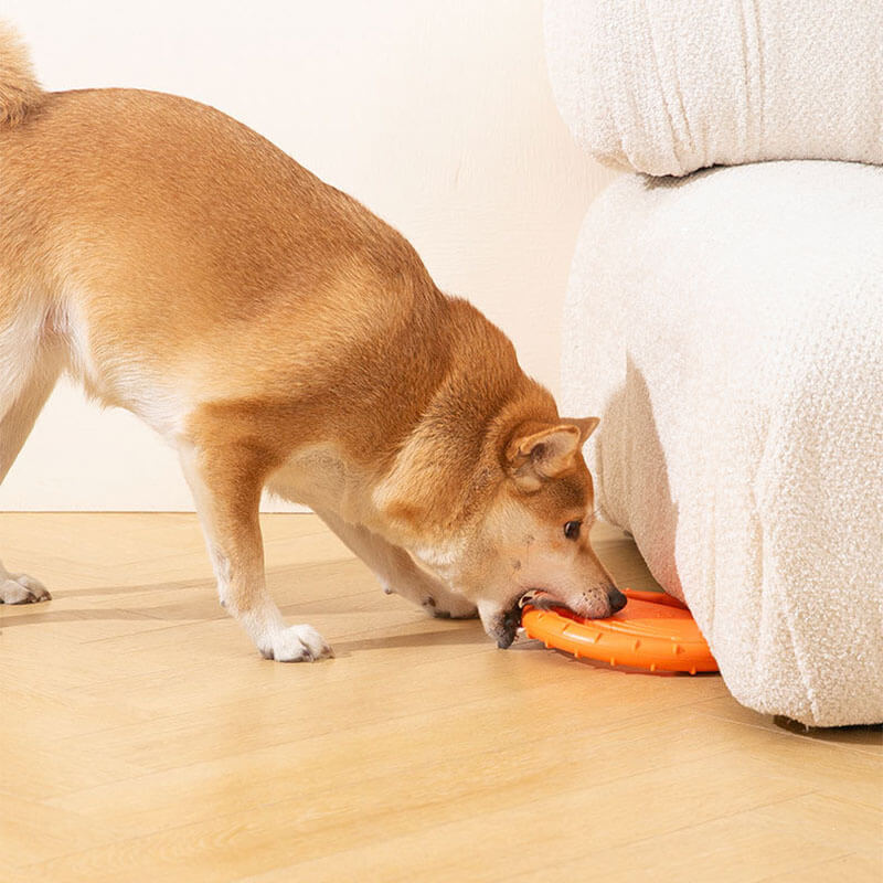 Disco voador interativo para cachorro, brinquedo de borracha para volante