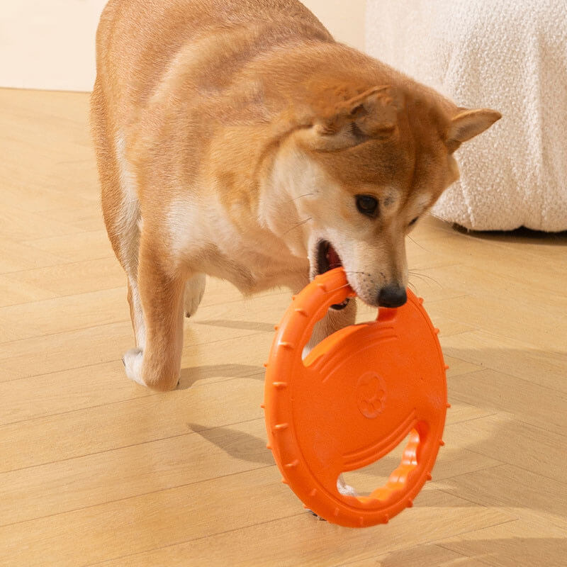 Disco voador interativo para cachorro, brinquedo de borracha para volante