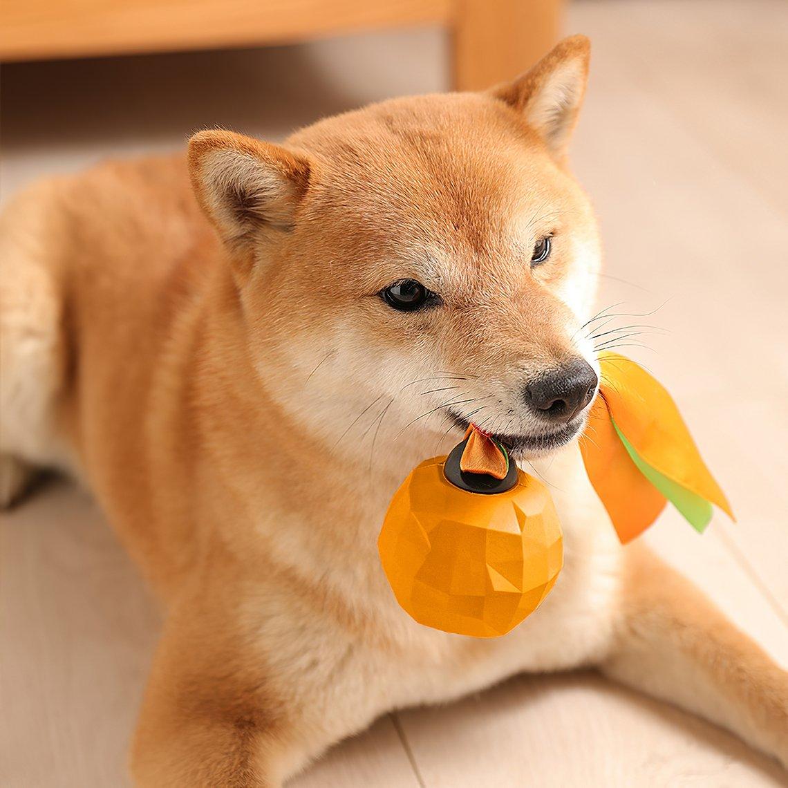 Brinquedo para cachorro mastigador de frutas