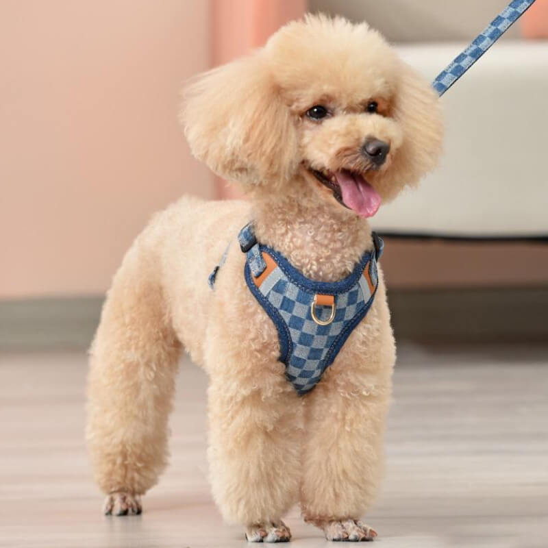 Conjunto de caminhada com arnês anti-tração para cães