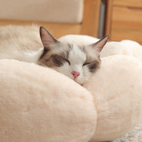 Cama de gato em forma de flor para dormir profundamente