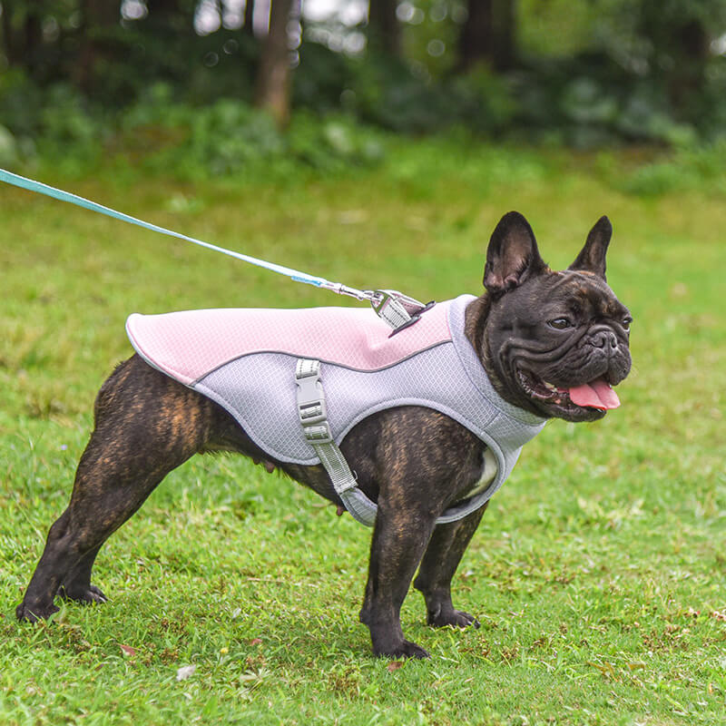 Colete respirável para prevenção de insolação Colete de resfriamento para cães embebido em água