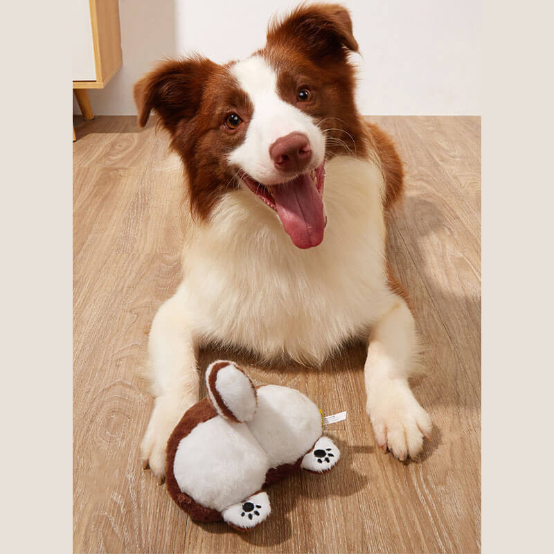 Brinquedo engraçado de pelúcia para cachorro que faz barulho - bunda