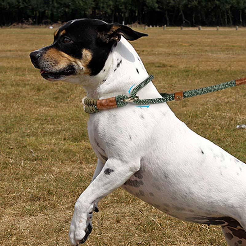 Corda trançada tricotada à mão sem puxar treinamento para cães, tudo em uma só coleira