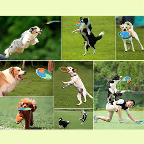 Brinquedo interativo para cães ao ar livre, durável, pano oxford, frisbee para cães