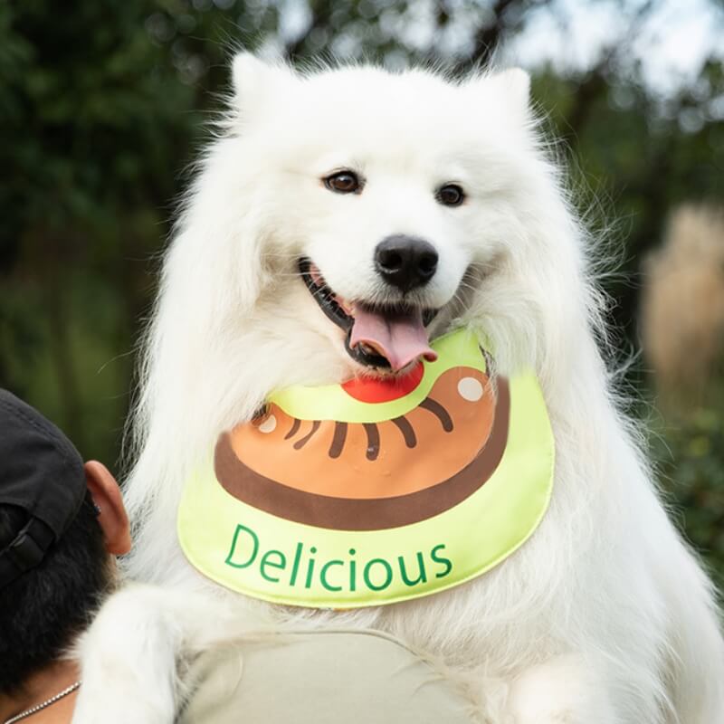 Lenço de pescoço para animais de estimação à prova d'água acessórios legais para cães babador-salsicha