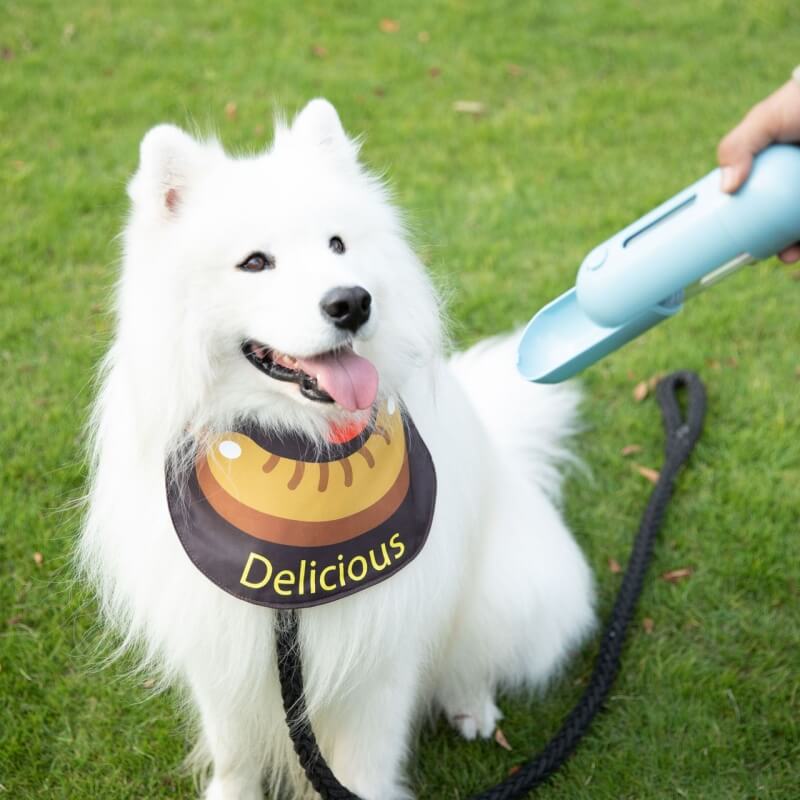 Lenço de pescoço para animais de estimação à prova d'água acessórios legais para cães babador-salsicha