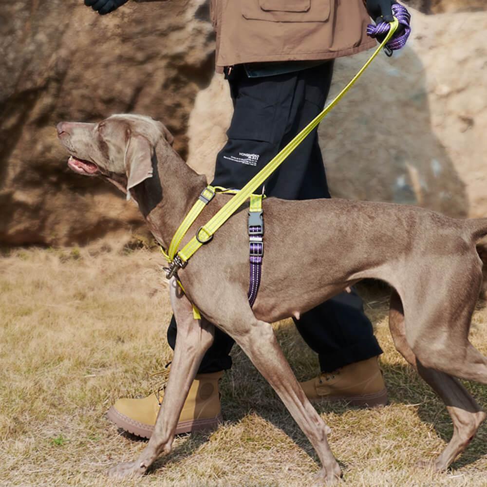 Arnês de equilíbrio reflexivo com pescoço e fivela Arnês para cães sem puxar