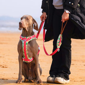 Conjunto de arnês e trela para cães grandes e anti-tração seguros com bolsa de caminhada