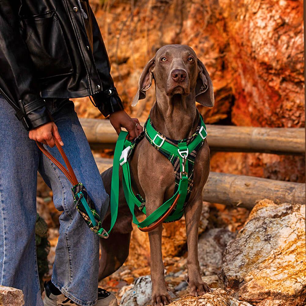 Conjunto de arnês e trela para cães grandes e anti-tração seguros com bolsa de caminhada