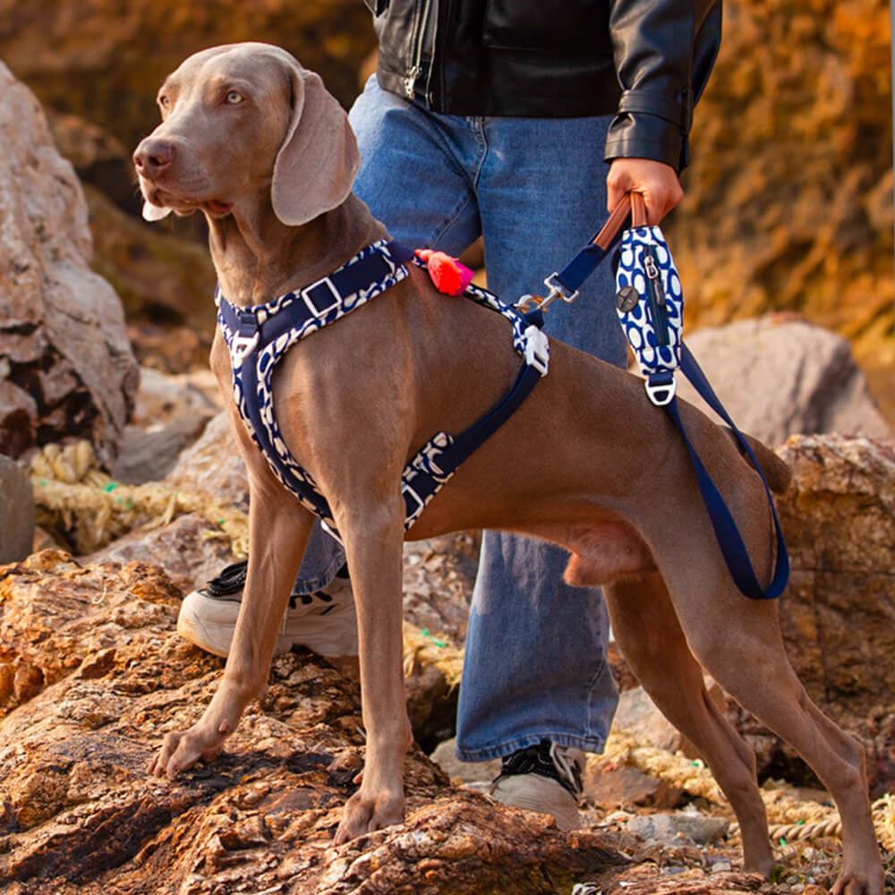 Conjunto de arnês e trela para cães grandes e anti-tração seguros com bolsa de caminhada