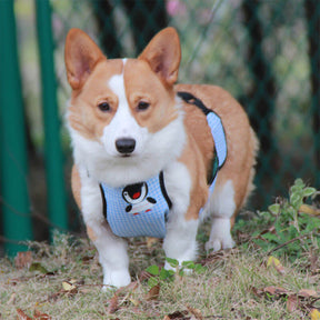 Capa impermeável para barriga de cachorro com babador xadrez para animais de estimação