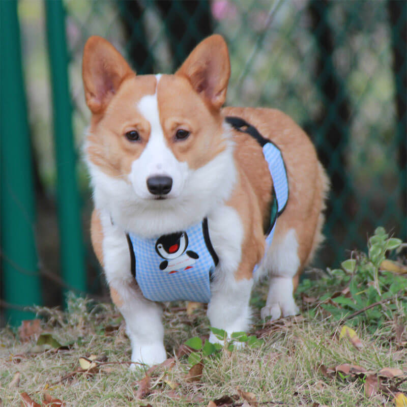 Capa impermeável para barriga de cachorro com babador xadrez para animais de estimação