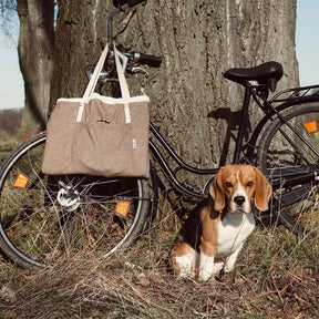 Tapete portátil para cachorro