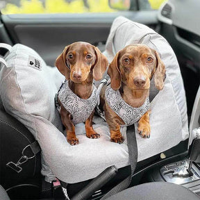 Cama de assento de carro para cachorro e cachorrinho de segurança para viagens - Primeira classe