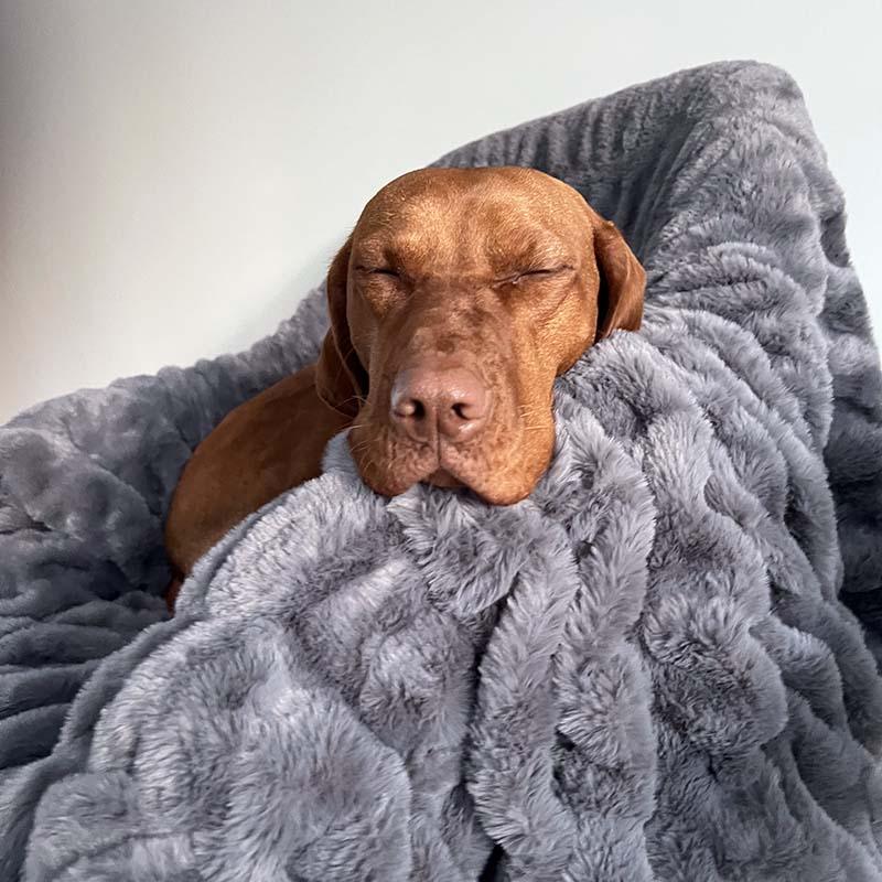 Cobertor super macio de pele sintética e veludo para animais de estimação de luxo cobertor humano