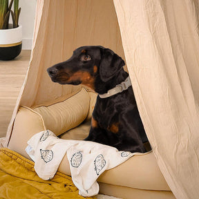 Tenda para cães elegante e macia e aconchegante